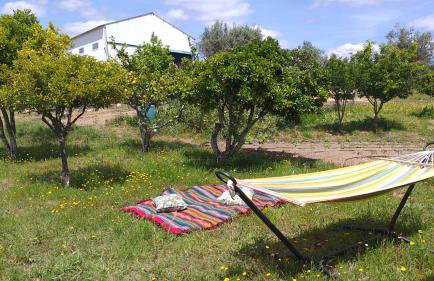 Evoramonte Encantada - Foto 18