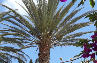 FRAMANTIS App No 6 - Photo 15