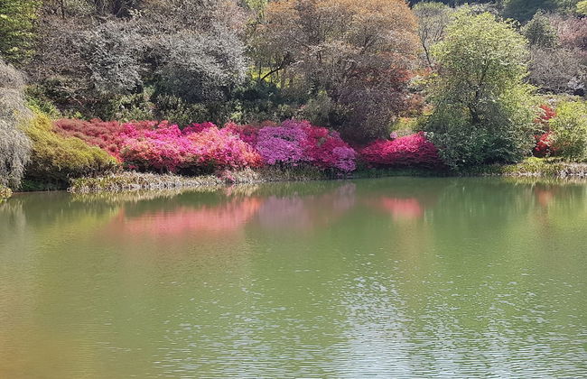 Sherwood's Country House - Foto 52