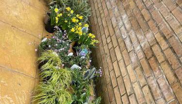 West London stunning garden flat - period features - Foto 5, Garden