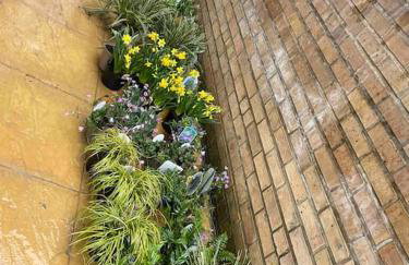 West London stunning garden flat - period features - Foto 5