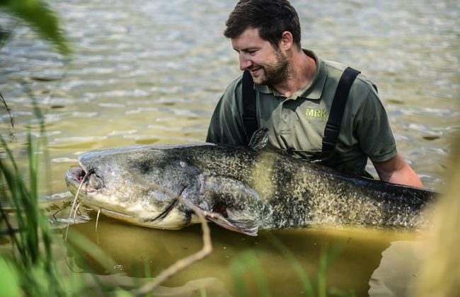 Erven Janovice Sckv023-ka - Foto 51