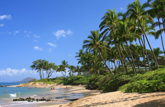 Beautiful 1 Bedroom Condo with Ocean Views | Oceanfront - Foto 109