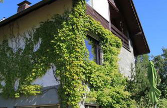 Ferienwohnung Naturfreund - Foto 15