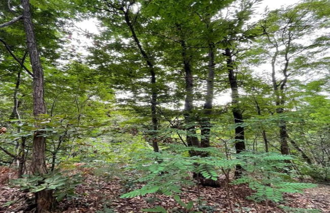 Modern Farmhouse in Pagnano Italy Near Forest - Photo 33