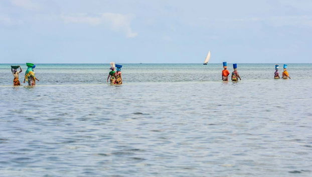 Excursión a la isla de Tumbatu - Foto 5