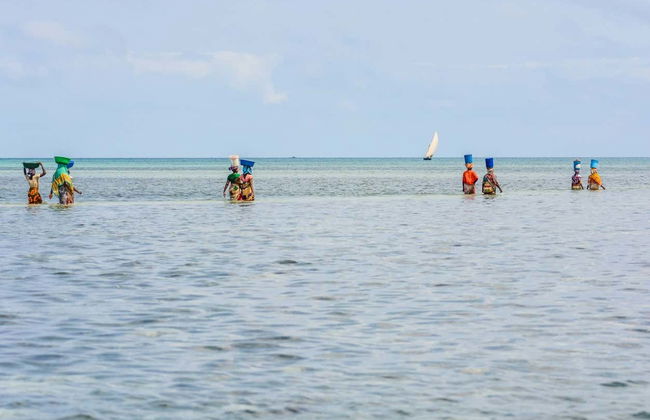 Excursión a la isla de Tumbatu - Foto 5