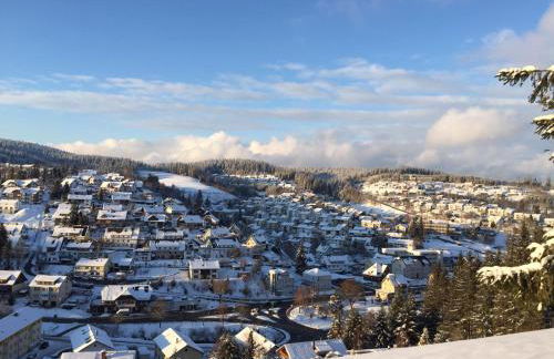 Haus zum Wald - Foto 5