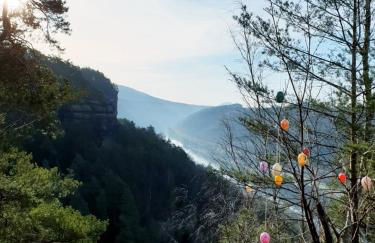 Hillehof Ostrau - Photo 56