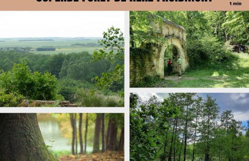 Home cinema- Netflix free - Proche aéroport Beauvais, Chantilly, forêt de Hez-Froidmont, parking public gratuit, Wifi & Netflix - Foto 25