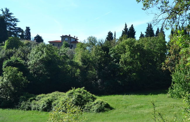 Lovely Estate not far From Florence With Olives Trees - Foto 75