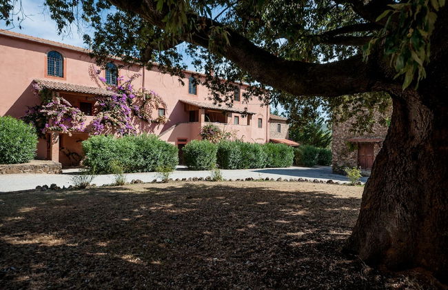 Fattoria di Casalappi - Foto 36