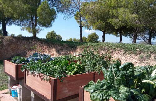 Romegosa Benestar - Foto 41