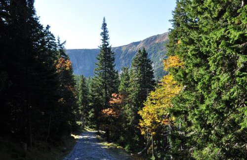 Apartament Salamandra - Foto 15