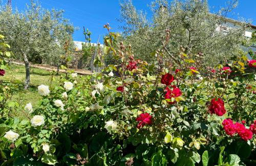 Quinta das flores - Foto 17