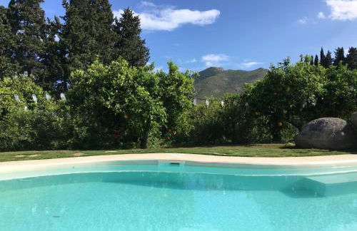 Luna&Limoni Country - Foto 31