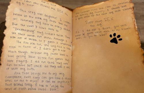 Dutch John Adventure Outpost, 2800 Sq Ft Log Home - Foto 78