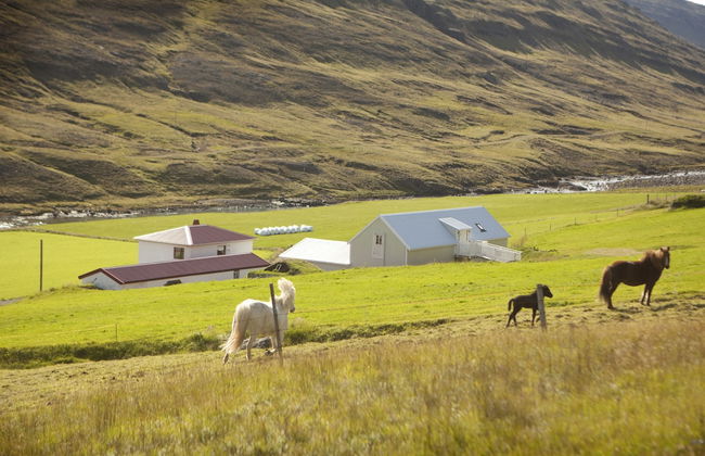 Wilderness Center Óbyggðasetur Íslands - Foto 40