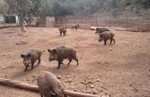 Casa Rural Los Nogales - Foto 32