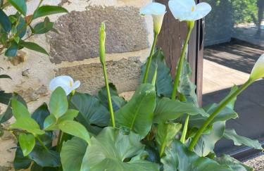 Gite 4, Domaine Logis Gascogne - Photo 37