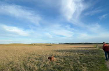 L'Air Marin - Photo 13