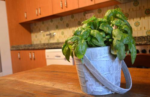 Mas Sabaters - L'Era de Sabaters - Foto 47