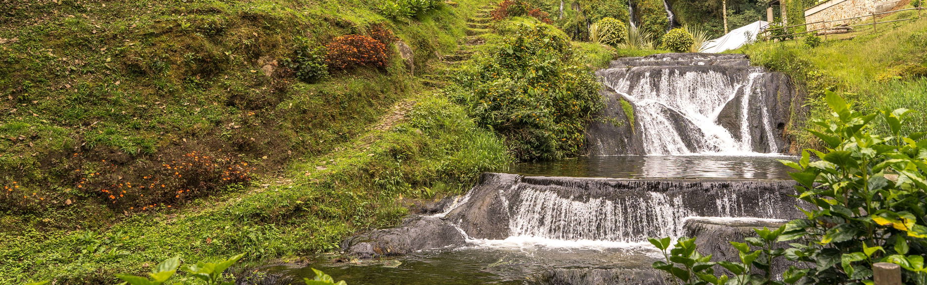 Excursión privada a las Termales Santa Rosa de Cabal