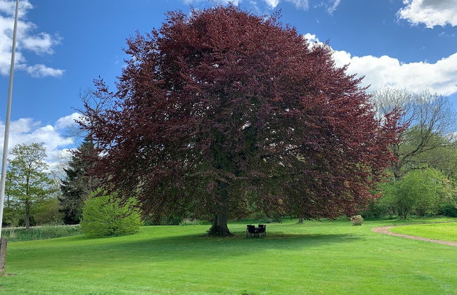 Skerrildgaard Gæstehus - Foto 17