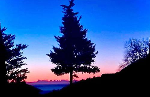 DOLCE VITA CIAIXE - Photo 62