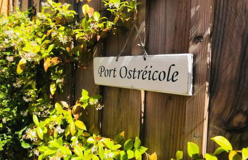 Cocon entre presqu'île du Cap Ferret et plages océanes - terrasse - 1 vélo gratuit - Foto 48