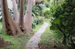 La Casita de la Vega - Foto 66