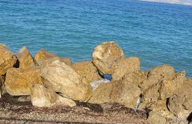 Beachfront Bliss Oasis - Foto 9