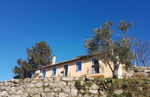 Casa de Campo - Cinfães do Douro - Foto 9