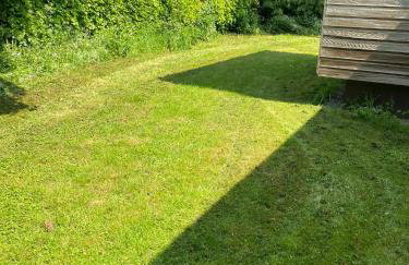 Wood Place - Foto 29