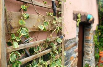 Vivienda Vacacional Bioxana - Foto 10