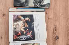 Casa Lucia 5th Floor - Photo 19