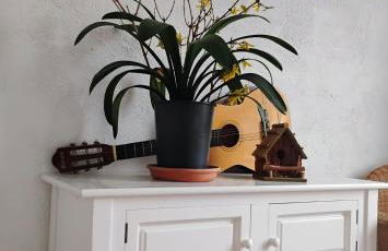 Gîte Le Marronnier, parking et terrasse au calme, entre Colmar-Riquewihr et Obernai, vue sur espaces verts et coteaux d Alsace, route du vin-châteaux - Foto 41