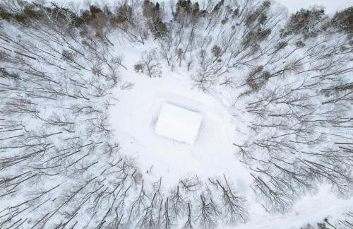 Snowy Paws on Lac Vieux Desert - Photo 29