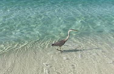 Dunes of Panama 204A - Foto 32