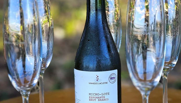 Brasilia Hot Air Balloon Ride - Foto 5