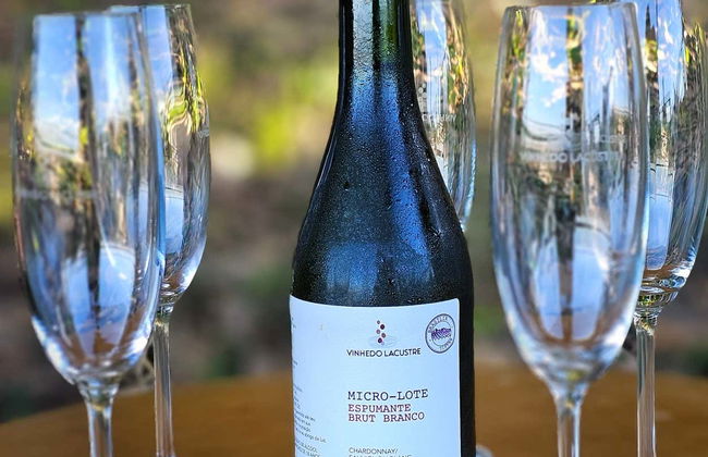 Brasilia Hot Air Balloon Ride - Photo 5