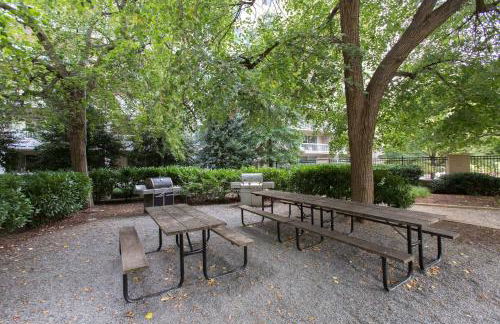 Spacious Apartment Perfect to Leisure and Business - Foto 25