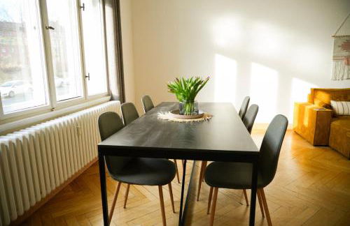 Charmante Altbauwohnung, 2 kostenfreie Parkplätze - Foto 29