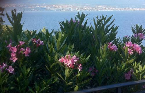 Apartments Vunić - Foto 63