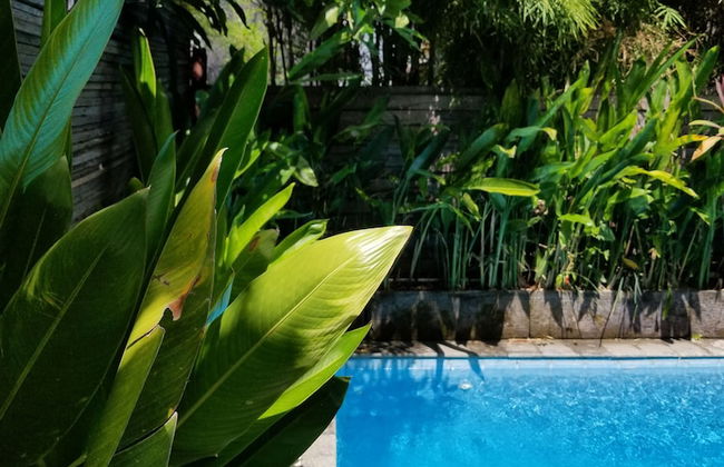 Kampoeng Bamboo - Foto 20