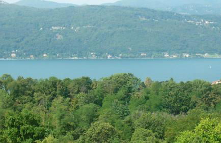 In Cima al Bosco - Photo 6