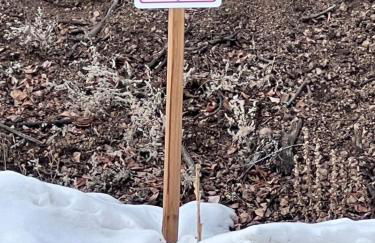 Cozy Cabin - Foto 35