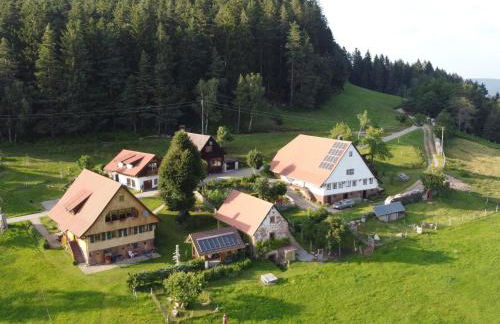 Kienbronnerhof - Foto 1