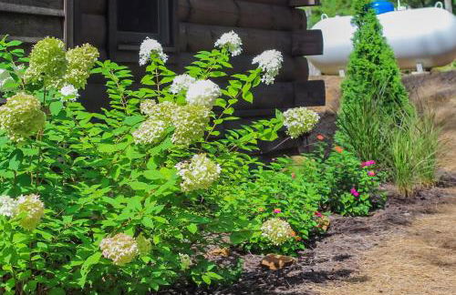 Fishful Thinking - Foto 30