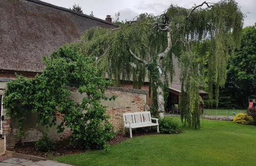 Ferienhaus Hof Amelung - Foto 21